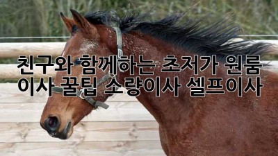 🚚 친구와 함께하는 초저가 원룸 이사 꿀팁! #소량이사 #셀프이사
