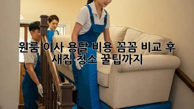 원룸 이사? 용달 비용 꼼꼼 비교 후, 새집 청소 꿀팁까지!