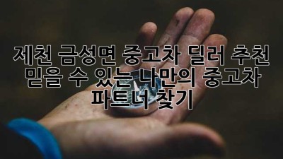 제천 금성면 중고차 딜러 추천 : 믿을 수 있는 나만의 중고차 파트너 찾기